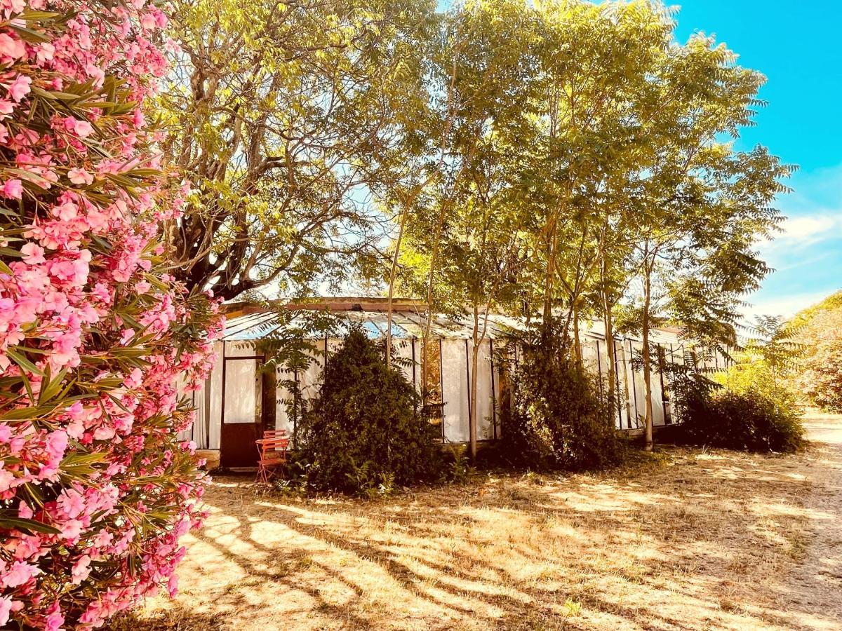 Tres Belle Rotonde Deco Boheme, Tennis, Parking Nîmes Dış mekan fotoğraf